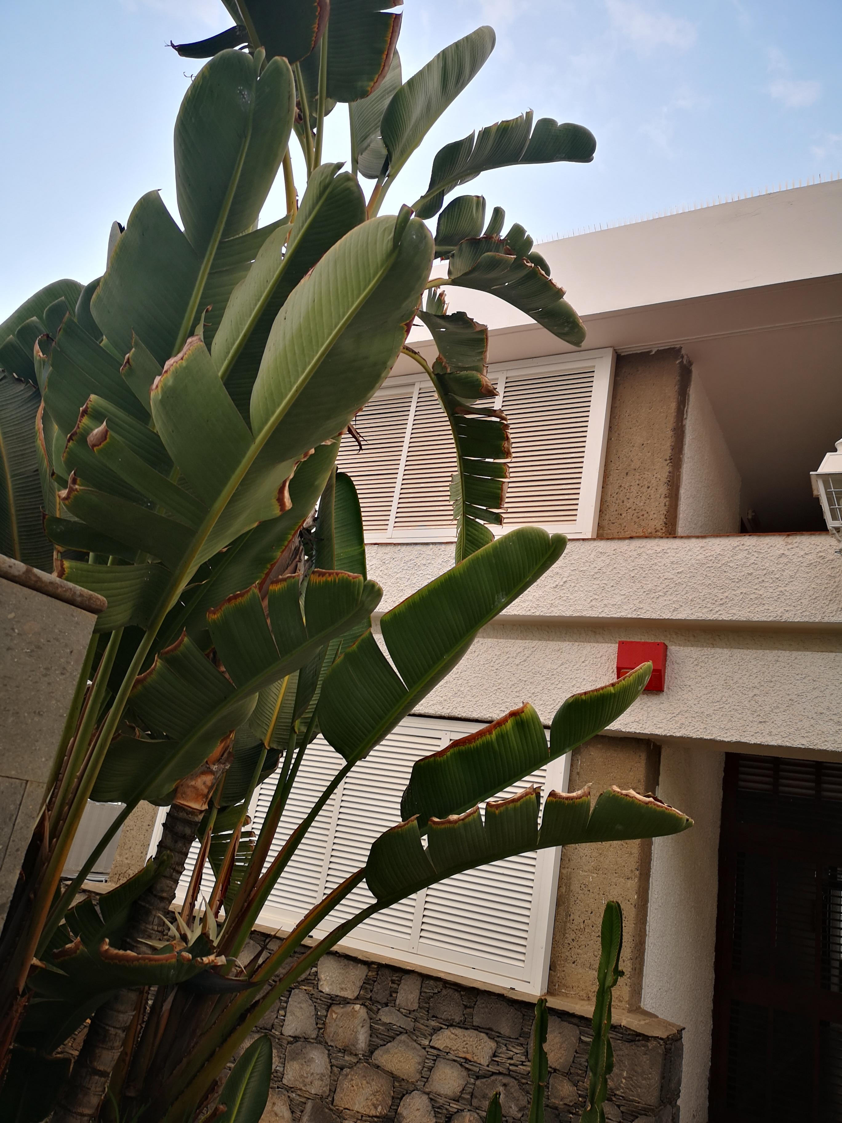 מספאלומס Apartamentos Tamara מראה חיצוני תמונה